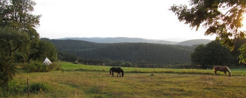 Bild "Bildergalerie & Umgebung:Pferdeweide_835px.jpg"